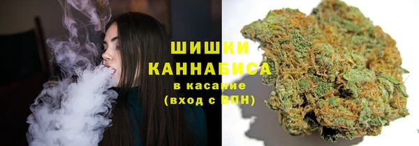 Альфа ПВП Ладушкин